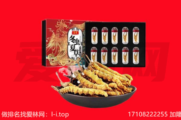 三门峡回收虫草.jpg
